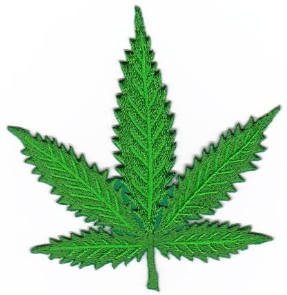 _borders/hanf.jpg(26541 Byte)